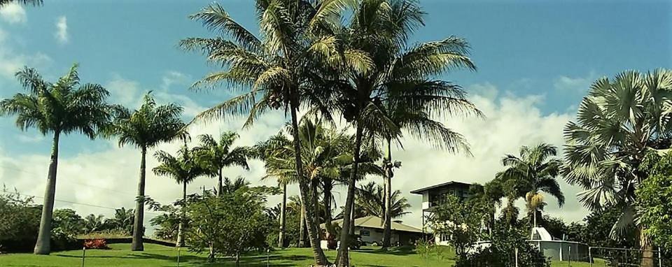 Photo of Others in Papaikou