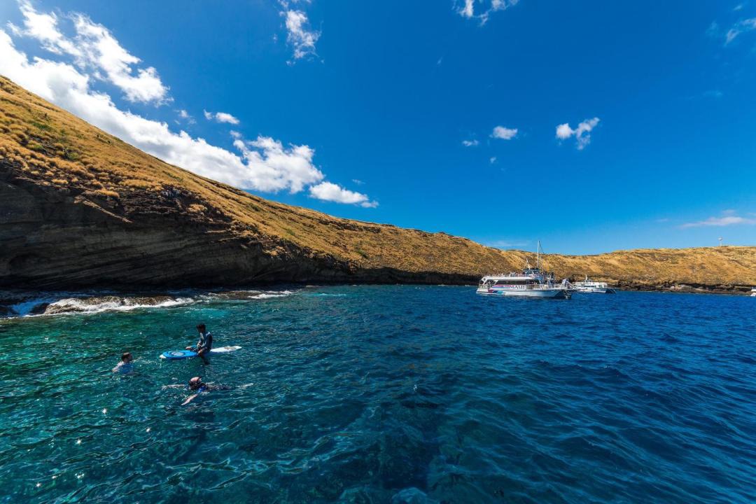 Photo of Others in Honokowai