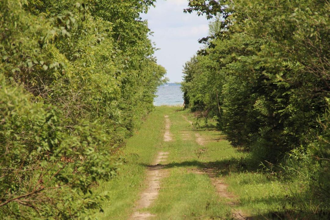 Photo of Others in Mackinaw City