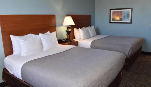 Executive Queen Room with Two Queen Beds - Non-Smoking/No Pets