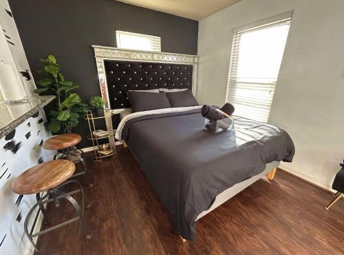 Trendy and modern apartment at rice village